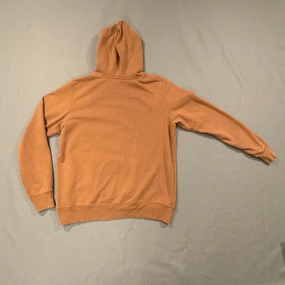 The‎ North Face Hoodie Mens Large Brown Pullover Fleece Hooded Graphic Logo